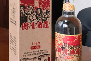 區(qū)域定制版產品上市